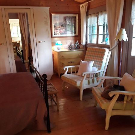 Le Chalet De La Grenouille Verte Tursac Экстерьер фото